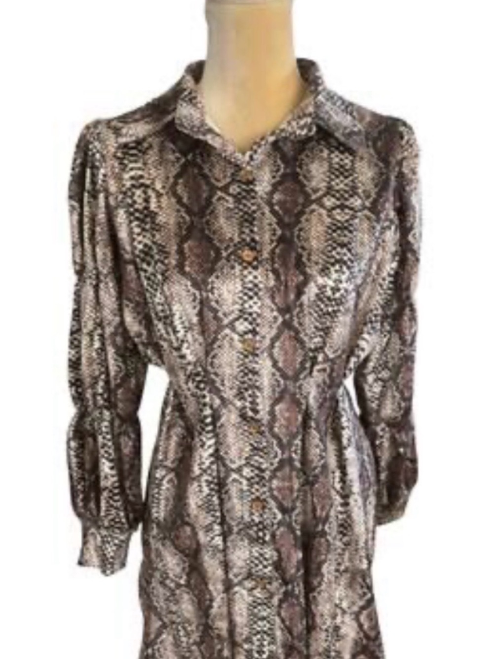 Women's Snake-Print Button-Down Shirt in Brown